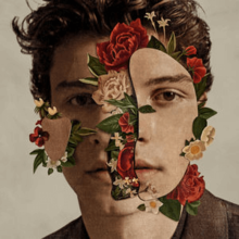 Cover art for Shawn Mendes self titled album.