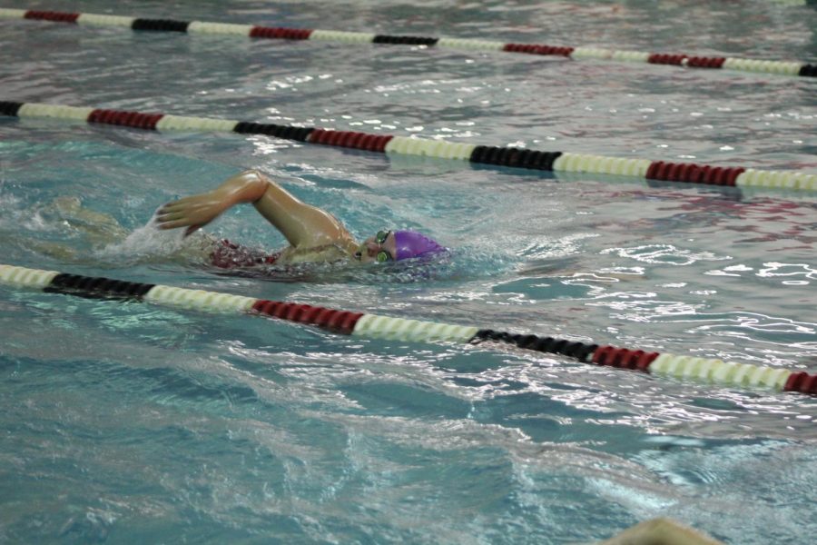 Senior+Lexie+Syacsure+swims+the+500+freestyle.