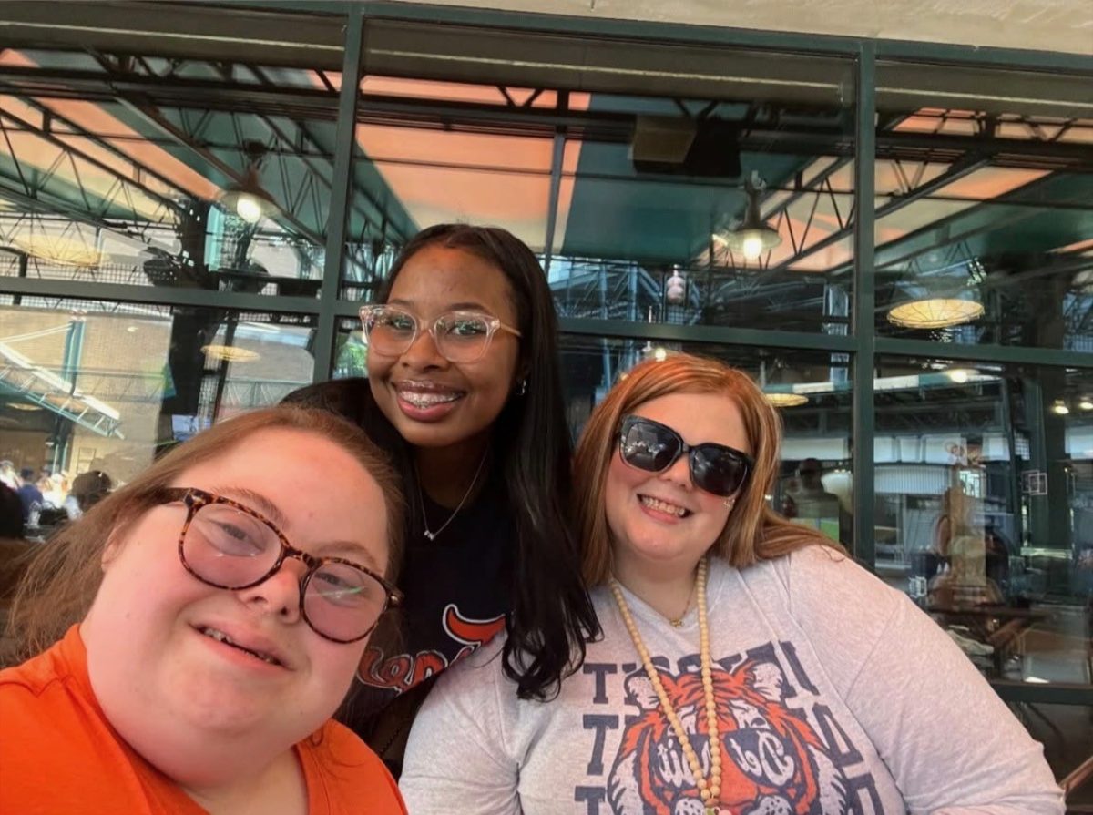 Comerica Park Field Trip
